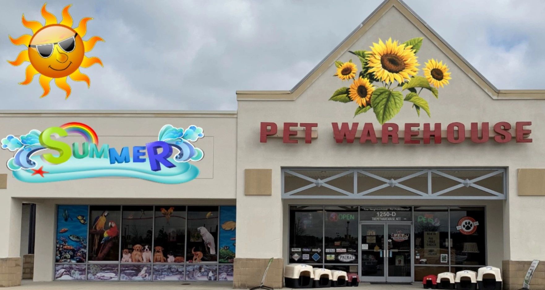 REPTILES in Jacksonville The Pet Warehouse the pet warehouse